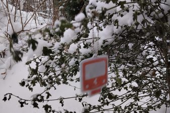 Kaupunkiliikenteenmetroheijastin lumisella puunoksalla.