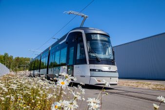 Pikaratikka ja päivänkakkaroita.