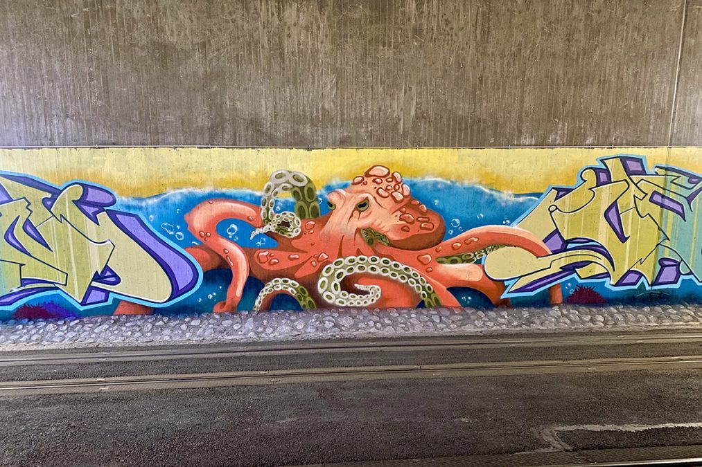 Mustekala graffititeoksessa raitiolinjan 13 tunnelissa Vallilanlaaksossa.