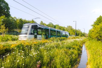Raitiovaunu linjalla 13 Vallilanlaakson vehressä maisemassa.