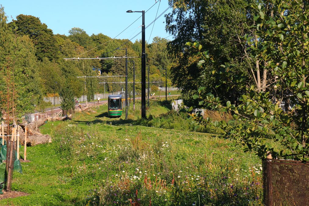 Tram in Vallilanlaakso.