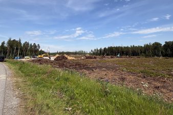 Vaaralan varikon tontti, josta puut on kaadettu.